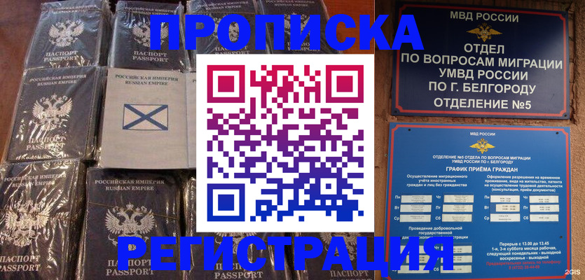 прописка гарантия в Владимирской области